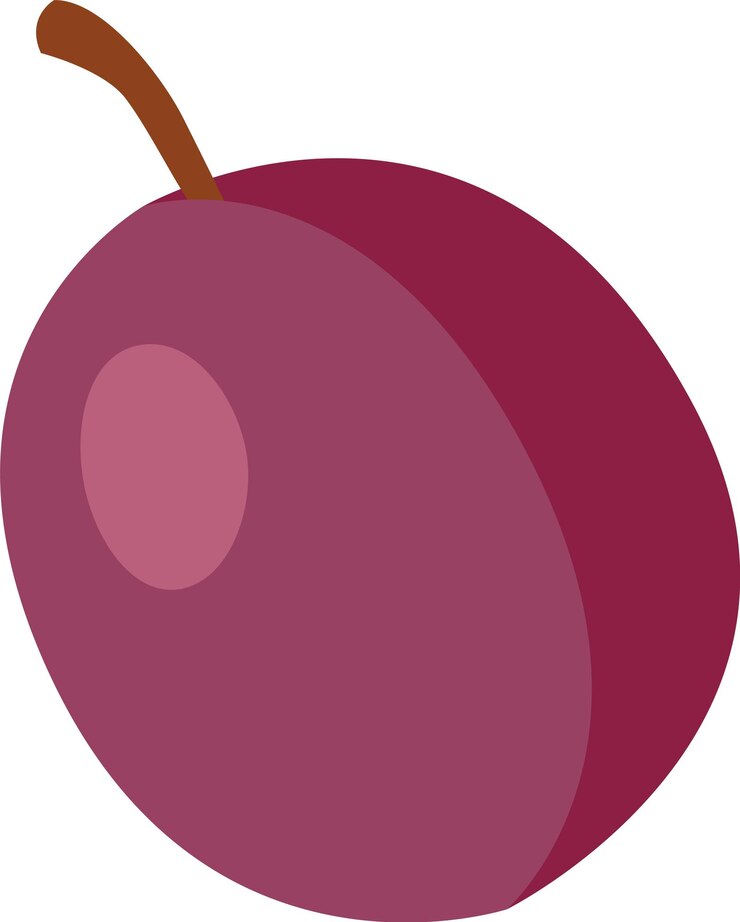 Vector fruta de ciruela madura