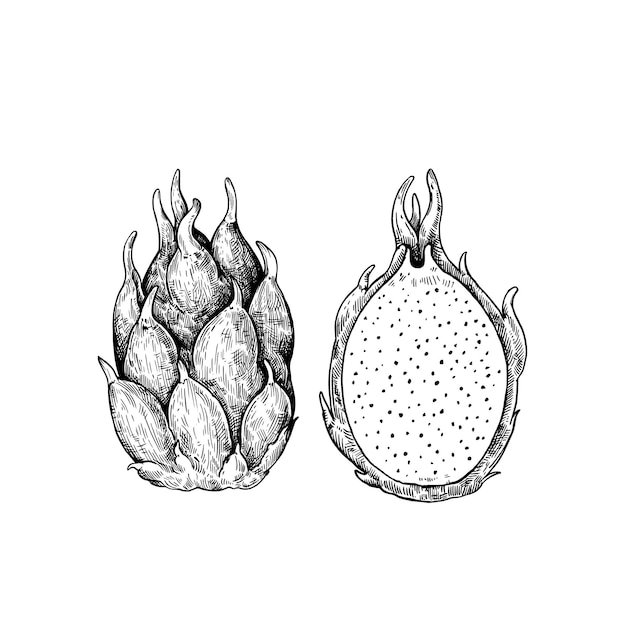 Fruta del dragón aislada sobre un fondo blanco