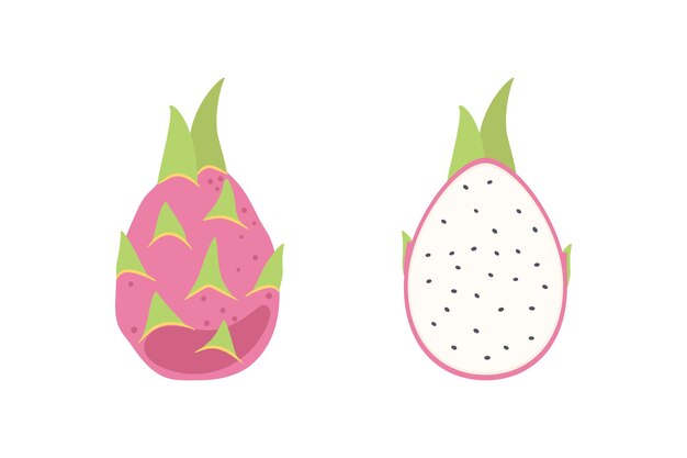 Fruta del dragón, entera y cortada. Símbolo de frutas tropicales de verano. ilustración en estilo de dibujos animados plano aislado en blanco