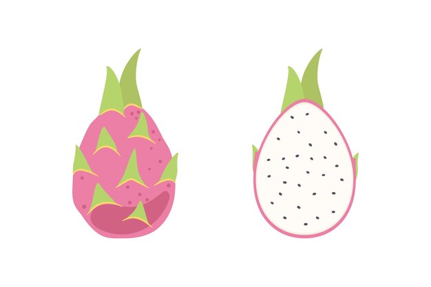 Vector fruta del dragón, entera y cortada. símbolo de frutas tropicales de verano. ilustración en estilo de dibujos animados plano aislado en blanco