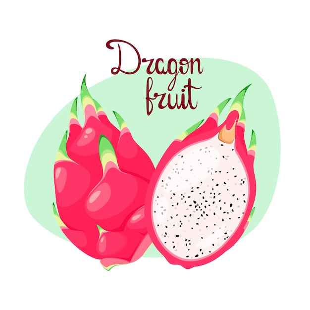 Vector fruta de dragón madura. diseño de dibujos animados.