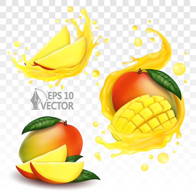 Vector fruta fresca de mango y rodajas con salpicaduras jugosas gotas transparentes 3d ilustración vectorial realista