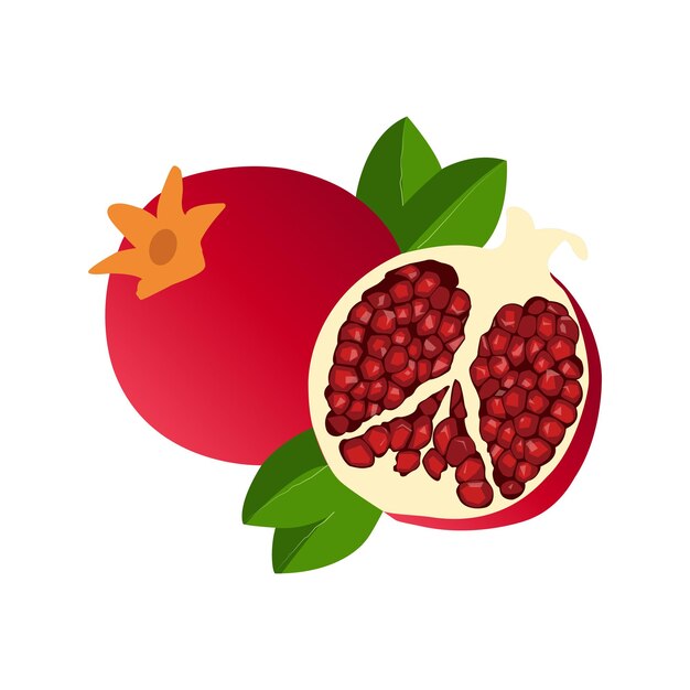 Fruta de granada madura y una cortada por la mitad con vector de hoja aislado sobre fondo blanco