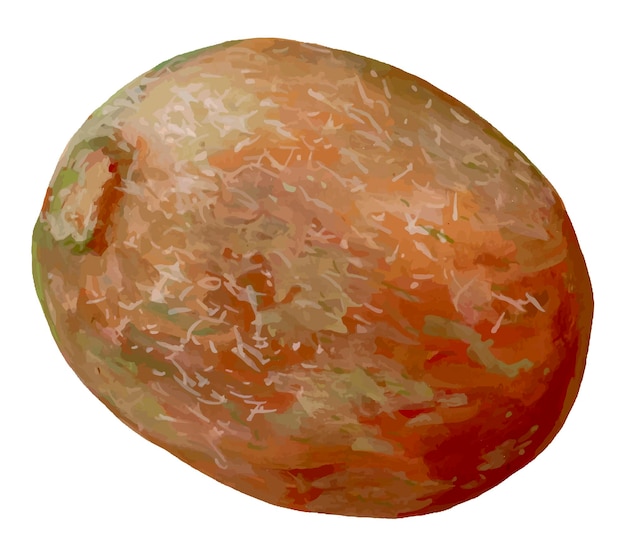 Fruta de kiwi brillante y fresca Pintura acrílica de alimentos orgánicos Dibujo realista