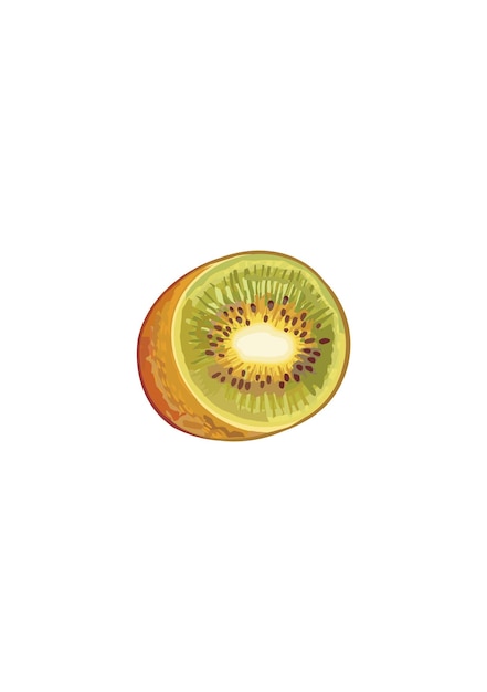 Fruta de kiwi frutas deliciosas de verano ilustración vectorial en estilo plano