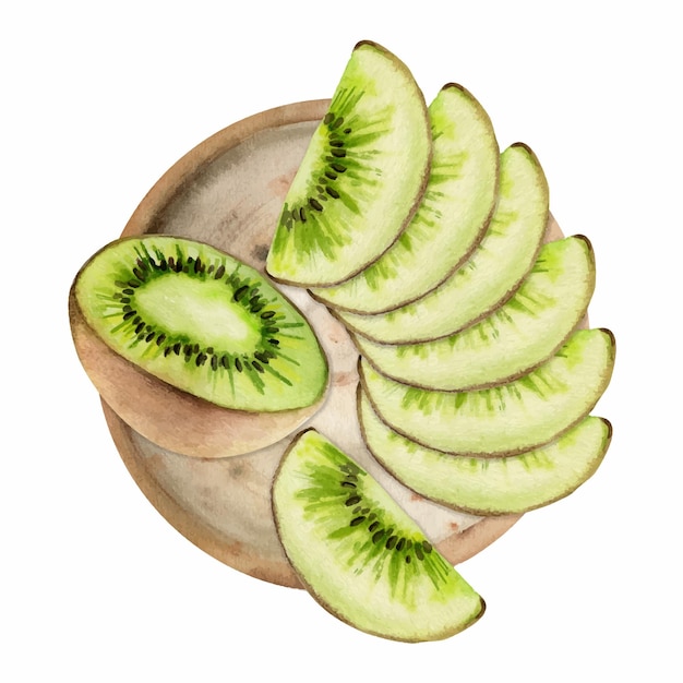 Fruta de kiwi verde dibujada a mano para dieta y estilo de vida saludable ensalada cocina cruda vegana Composición de ilustración aislada en fondo blanco Diseño para cartel de impresión de sitio web menú de tarjeta