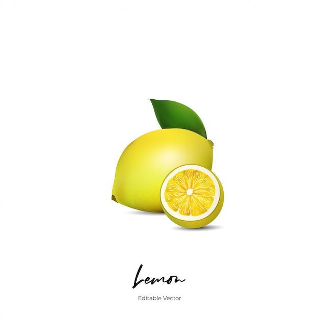 Fruta de limón realista