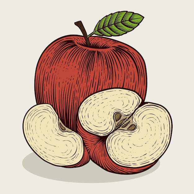 Fruta de manzana vintage de ilustración con estilo de grabado sobre fondo blanco