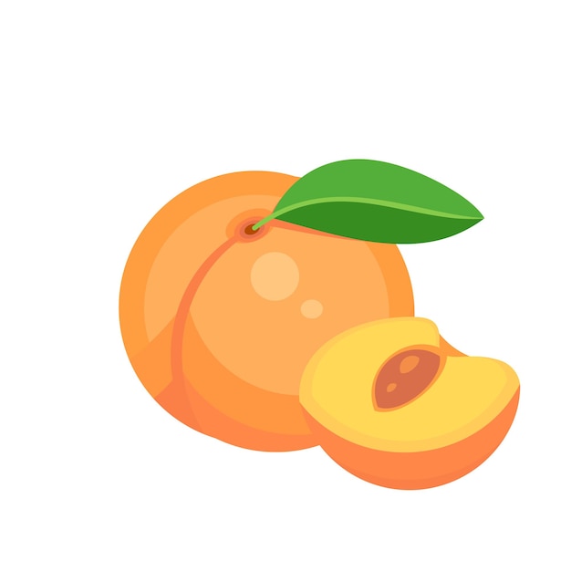 Fruta de melocotón aislada sobre fondo blanco Ilustración vectorial