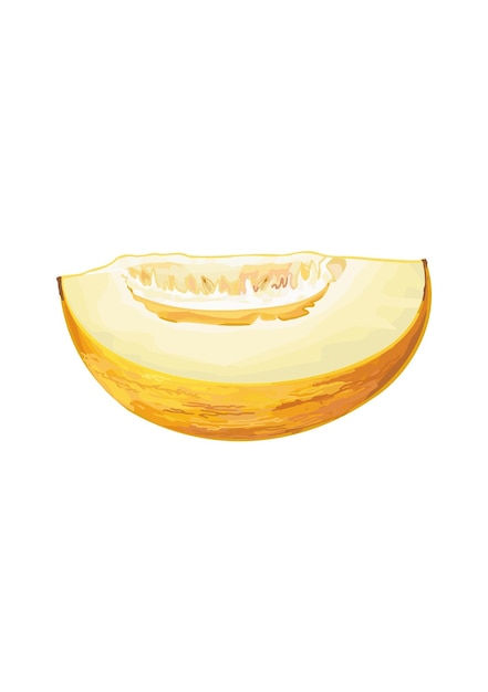 Fruta de melón amarillo Frutas deliciosas de verano Ilustración vectorial en estilo plano