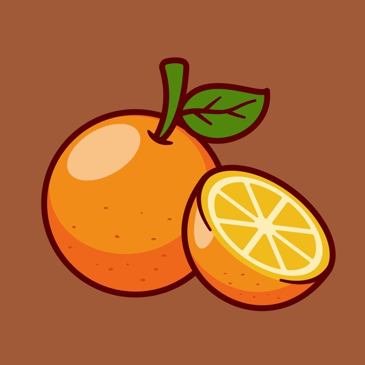 Vector fruta naranja fresca entera y mitad icono ilustración