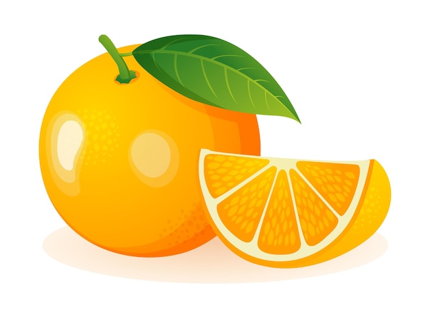 Fruta de naranja fresca entera y en rodajas ilustración vectorial aislada sobre fondo blanco