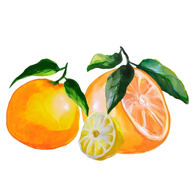 Fruta naranja con hojas de mandarina y rodaja de limón ilustración de frutas cítricas