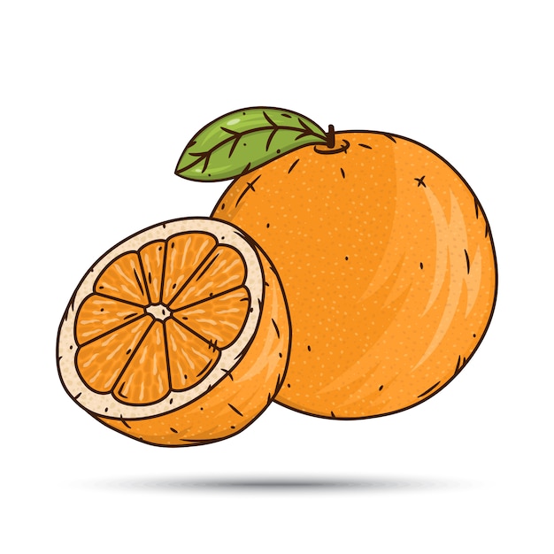 Vector fruta naranja y rodajas.