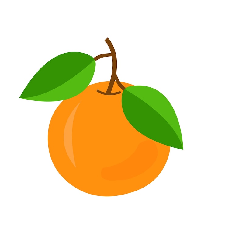 Vector fruta naranja sobre un fondo blanco