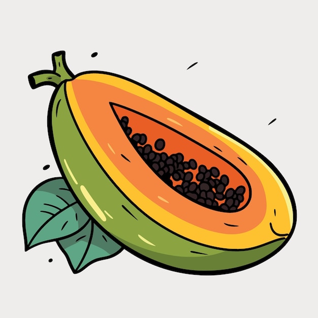 Vector fruta de papaya cortada por la mitad