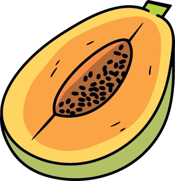 Vector fruta de papaya cortada por la mitad