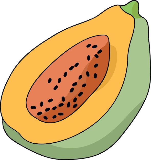 Vector fruta de papaya cortada por la mitad