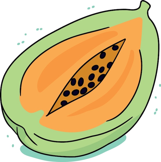 Vector fruta de papaya cortada por la mitad