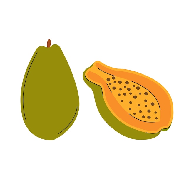 Fruta de papaya entera y media comida sana madura dibujada a mano Fruta de arte de clip de papaya