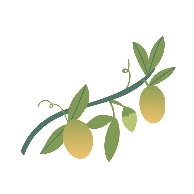 Vector fruta de la pasión en una rama ilustración de dibujos animados de una fruta exótica sobre un fondo blanco aislado productos de alimentos orgánicos dibujados a mano golosinas tropicales el concepto de alimentación saludable