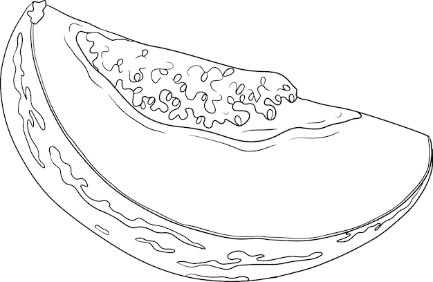 Fruta de pepino melón pera Solanum muricatum Ilustración de la línea dibujada a mano por el vector Fruta fresca de pepino