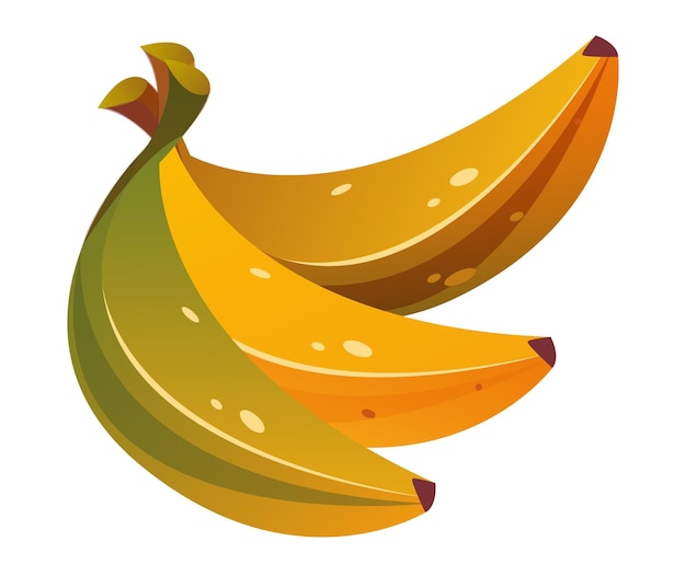 Fruta de plátano aislada en el concepto de fondo blanco Ilustración de diseño gráfico plano vectorial