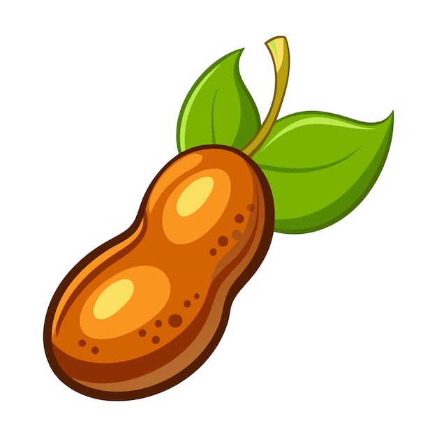 Fruta de tamarindo con hojas verdes Indica Ilustración vectorial de dibujos animados