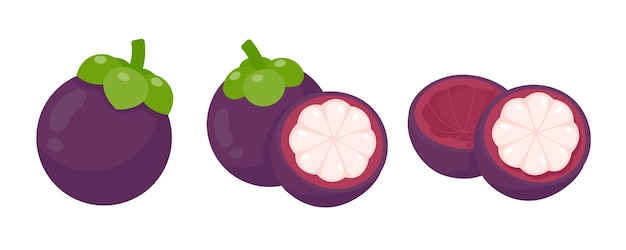 Fruta tropical dulce de mangostán púrpura