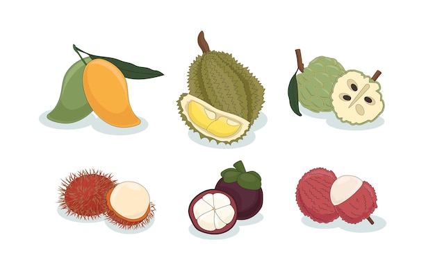 Frutas asiáticas tropicales Mango Durian Guayaba Lichi Rambután Mangostán Vector Ilustración