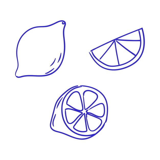 Frutas cítricas frescas ilustradas en una rodaja de lima de estilo minimalista sobre un fondo blanco