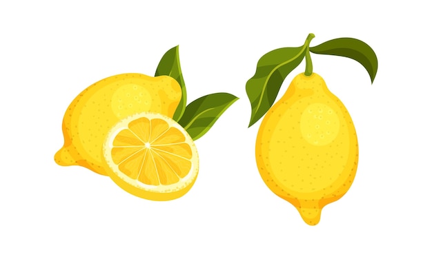 Frutas cítricas de limón enteras y divididas en dos con carne jugosa y hojas verdes