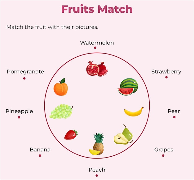 Vector las frutas coinciden