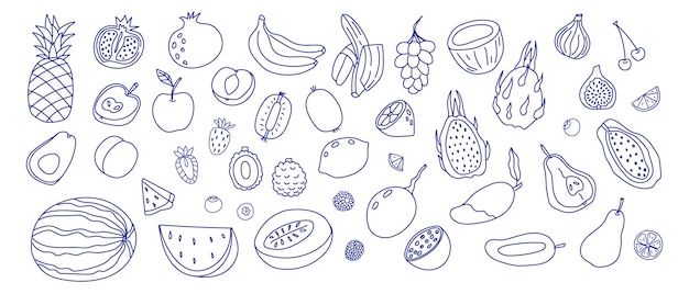 Frutas coloridas dibujadas a mano dispuestas artísticamente sobre un fondo blanco que muestran variedad y detalles