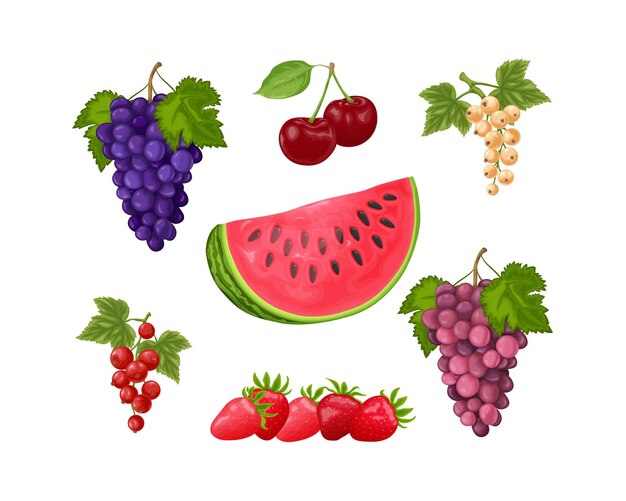 Frutas conjunto un gran conjunto de frutas como sandía uvas cerezas grosellas rojas y blancas y paja