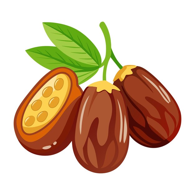 Frutas de dátiles de Ramadán con hojas de palma aisladas sobre un fondo blanco