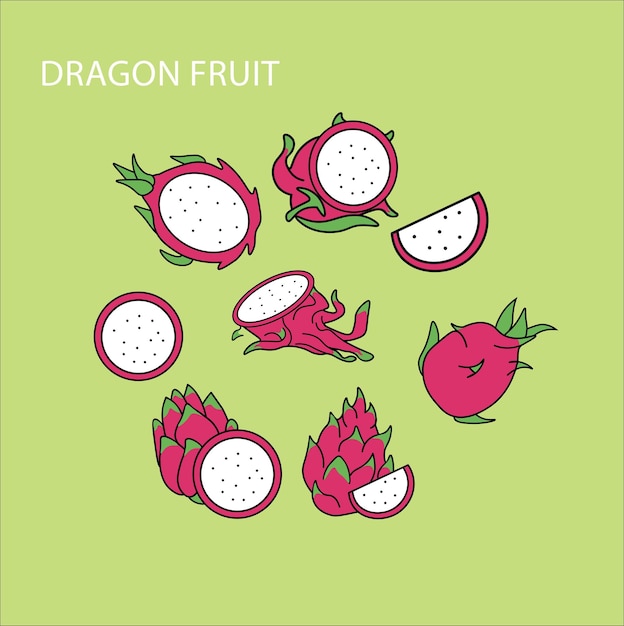 Vector frutas del dragón