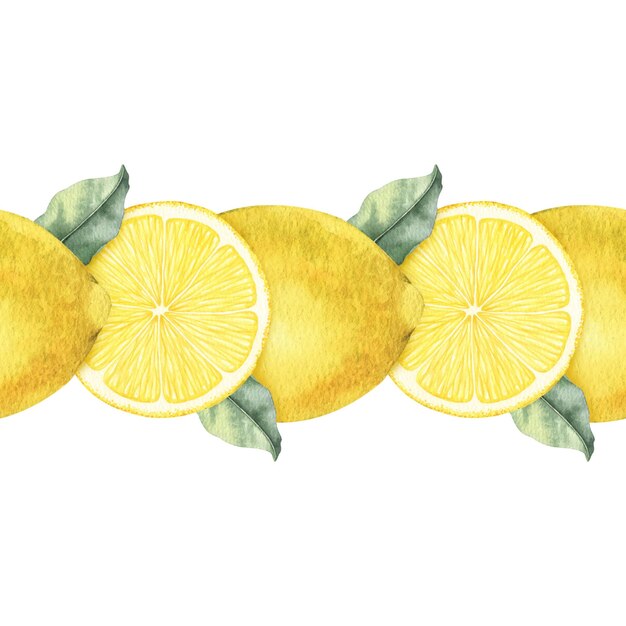 Frutas enteras de limón, rodajas de limones y hojas aisladas, acuarela dibujada a mano, borde sin costuras