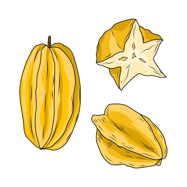 Frutas de estrella maduras frutas de estrella vectoriales rebanadas