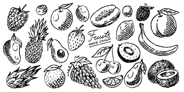 Frutas frescas dibujadas con pincel en estilo grunge líneas muy simples con muchos alimentos orgánicos fresa y
