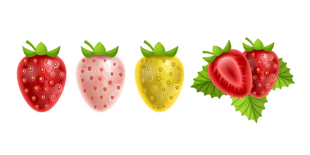 Frutas frescas fresa en formato vectorial de estilo de dibujos animados