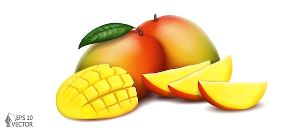 Frutas frescas de mango con rodajas y mitad aisladas en una ilustración de vector realista de fondo blanco