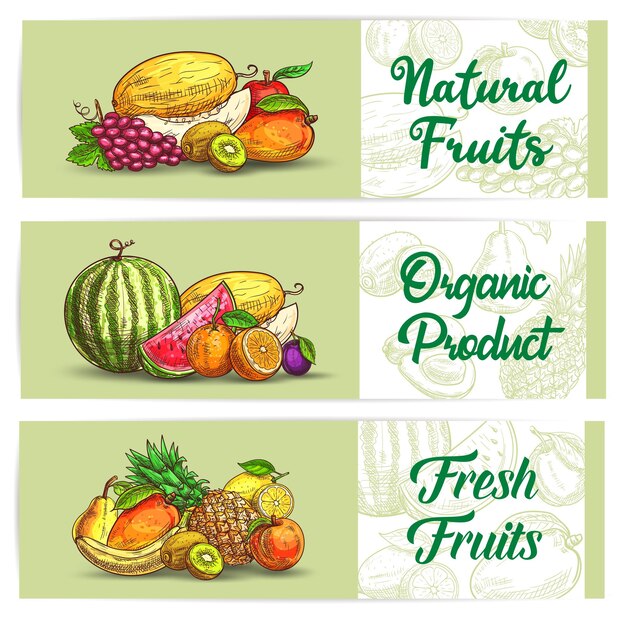 Vector frutas frescas sketch banners vector agricultura