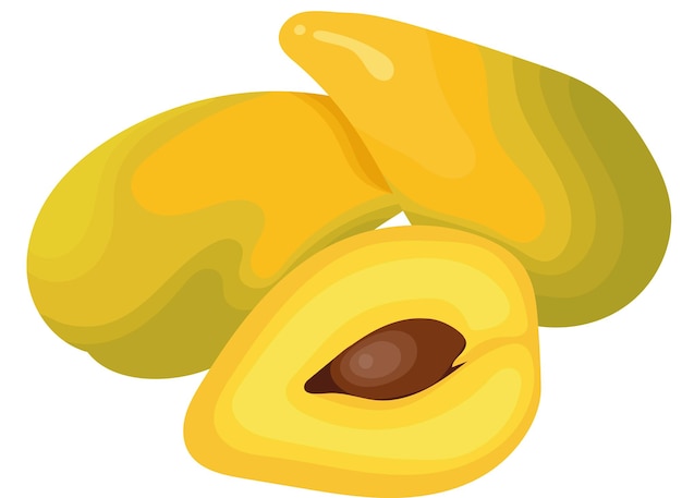 Frutas de huevo o frutas de canistel con ilustración cortada aislada sobre fondo blanco