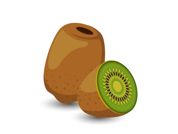 Vector frutas de kiwi de vector aislado sobre fondo blanco