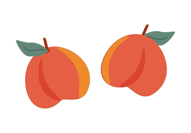 Frutas maduras melocotones con hojas