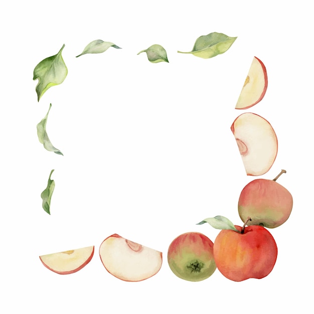 Frutas de manzana de acuarela dibujadas a mano maduras llenas y rebanadas composición de marco cuadrado rojo y verde Objeto aislado sobre fondo blanco Diseño para arte de pared tarjeta de cubierta de tela de impresión de boda