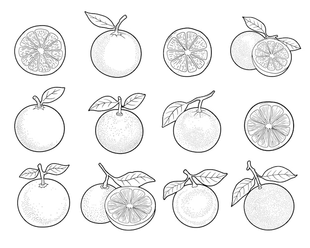 Frutas de naranja1
