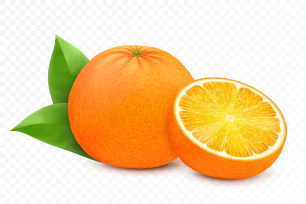 Frutas naranjas enteras y cortadas con hojas aisladas sobre fondo blanco ilustración vectorial 3d realista