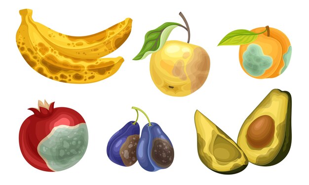 Frutas no aptas con piel cubierta con un conjunto de vectores de podredumbre apestosos